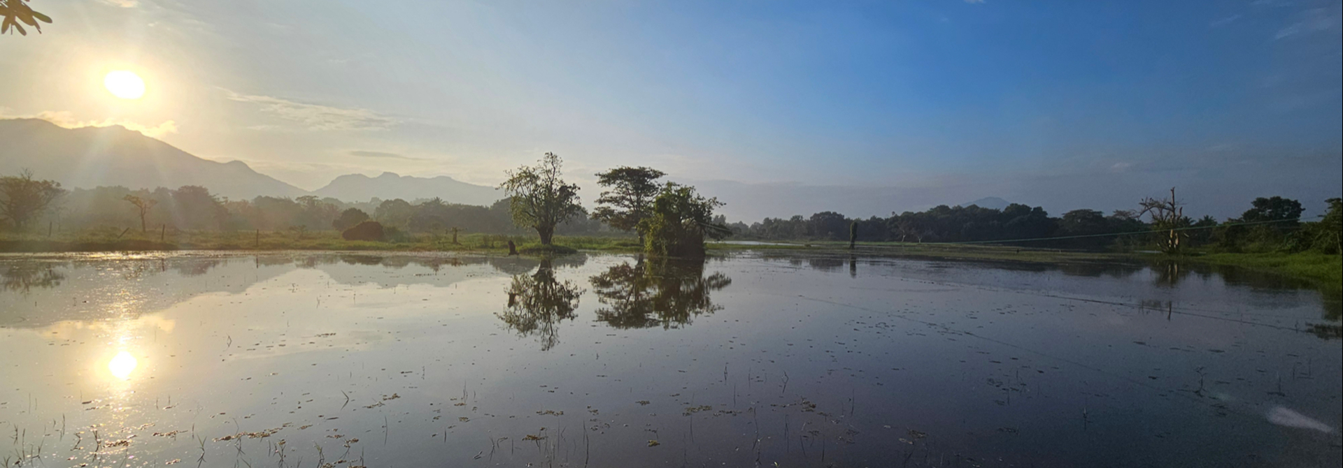 Sri Lanka - Cejloński Balans